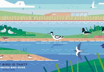 Fun Family Bird Workshop