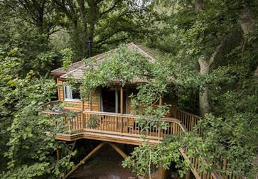 Tinkers Treehouse at Downash Wood Treehouses, East Sussex