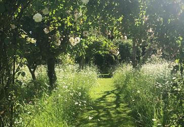Meadow at King John’s Nursery and Garden, Etchingham, East Sussex.