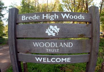 Brede High Woods