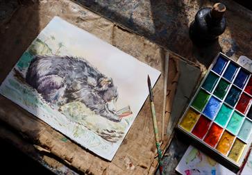 Claire Fletcher: Illustrating the Jungle Book