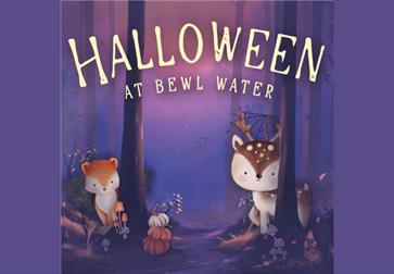 Halloween at Bewl water poster