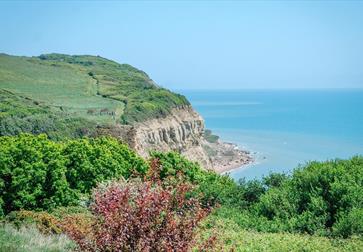 Hastings Country Park Nature Reserve