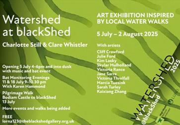 Watershed at Blackshed Gallery