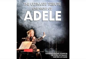 One Night of Adele