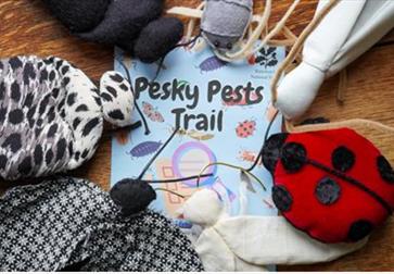 Pesky Pests trail