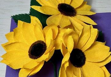 Sunflowers