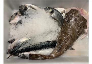 Webbes Cookery School - Sustainable Fish