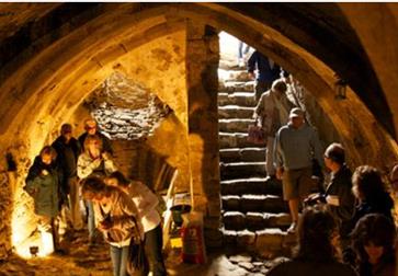wine cellars
