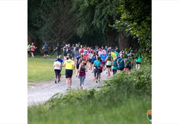 Group of participants running in an organized outdoor race on a tree-lined path.