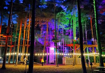 Image shows a Go Ape Bedgebury High Course illuminated with colourful lights (red, green, blue, pink)