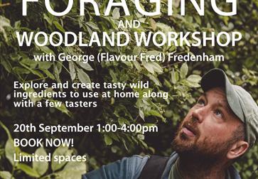 Foraging and woodland workshop