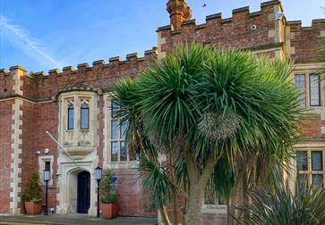 Hastings Museum and Art Gallery