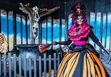 Halloween Shriek Week at Drusillas Park