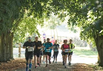 Group of runners with race bibs jogging along a tree-lined path on a sunny day.