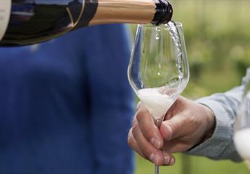 close up of a held wine glass being poured with blurred vineyard in the background