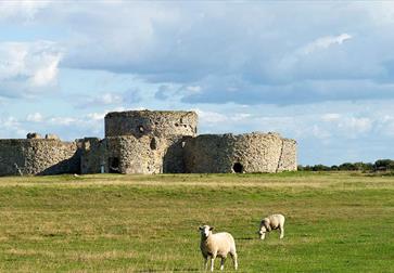 Camber Castle