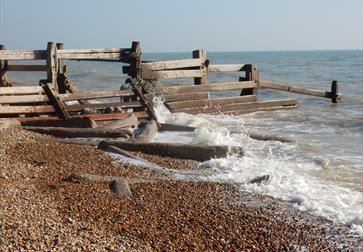 A Winter Ramble around Pett Level