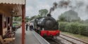 Steam locomotive WD75008 at a Kent & East Sussex Railway station platform, with smoke rising overhead.