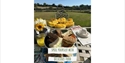 Afternoon tea stand with sandwiches and savouries overlooking countryside fields at Fisherwood Farm.