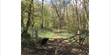 Woodland path near Judins Cottage, Burwash, with gate, wildflowers and peaceful countryside surroundings.