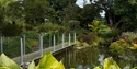 Merriments Gardens pond with a glass-sided bridge, surrounded by lush planting, mature trees and waterside foliage.