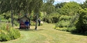 Visitors relax beneath birch trees in Merriments Gardens, surrounded by colourful planting and open lawns.