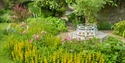 White garden bench beneath mature trees in the colourful walled garden at Lamb House, Rye.
