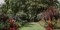 Pashley Manor Gardens with vibrant flower borders, manicured lawns and mature trees.