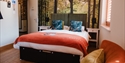 Stylish double bedroom at The Regent, Rye, with woodland feature wall, white furnishings and warm accents.