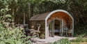 Cosy woodland cabin at Downash Wood with private deck nestled among mature trees.
