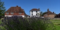 Traditional cottages and lavender gardens in Rye under a clear blue summer sky.
