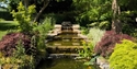 Tiered water feature at Merriments Gardens, framed by vibrant shrubs, mature trees and tranquil planting.