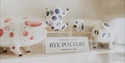 Hand-decorated Rye Pottery ceramics and pig-shaped ornaments displayed on a shop shelf in Rye.