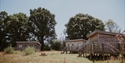 Three Starcroft Farm Cabins nestled in a meadow, surrounded by open countryside and woodland.