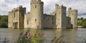 Bodiam Castle reflected in its moat, with wildflowers in the foreground and towers beyond.