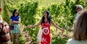 Guided wine tour among the grapevines at Oastbrook Vineyard in the Sussex countryside.