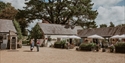 Courtyard café at Michelham Priory with outdoor seating, historic buildings and landscaped planters.