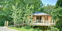 exterior of treehouse with a walkway to it from gravel path.