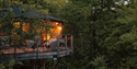 Downash Wood treehouse with private deck nestled among mature woodland and surrounded by nature.