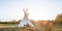 Luxury tipi accommodation at Oastbrook Vineyard set in peaceful countryside at sunset.