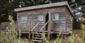 Starcroft Farm Cabin with a raised wooden deck, set among wildflowers and mature trees.