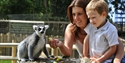 A mum and boy feeding a lemur at Drusillas Park