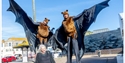 Bat costumes