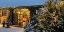 Snow-covered Catsfield Christmas tree farm with lit trees and a shop glowing with festive lights.