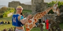 Performer holding a giraffe puppet and microphone at an outdoor event beside Hastings Castle ruins.