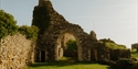Stone archway and ivy-clad ruins of Hastings Castle in warm sunlight, with grassy grounds and hillside beyond.
