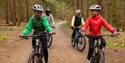 People cycling along a forest trail at Go Ape Bedgebury.