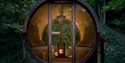 Circular wooden barrel sauna with glass front, glowing stove inside, nestled in a quiet woodland setting.