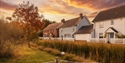 Beside The Sea Holidays cottage at sunset overlooking a grassy area and reeds behind a wooden fence.